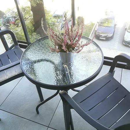 Nova - Rakowicka * Krakov